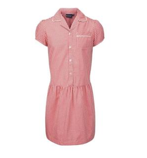 Gingham Red