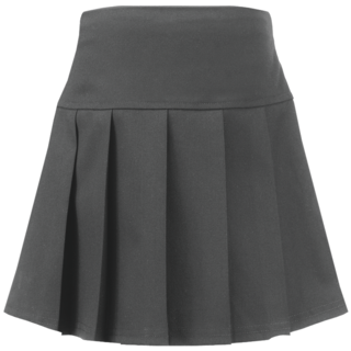 Grey Panel Skirt