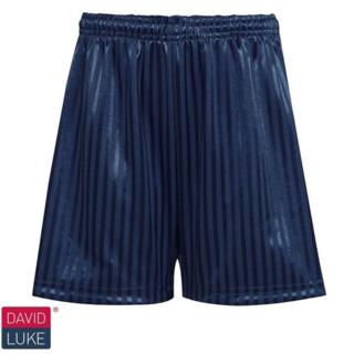 Navy Shadow Stripe Shorts