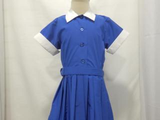 Helvetia Dress