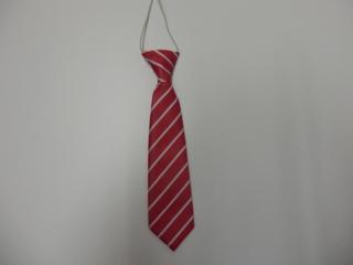 St Martin's Elasticated Tie - Years 1 to 5