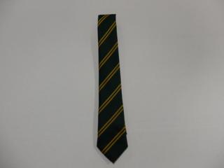 Springfield Elastic Tie