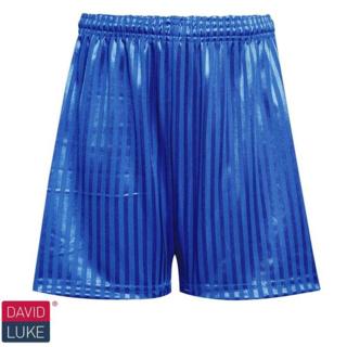 Royal Blue Shadow Stripe Shorts