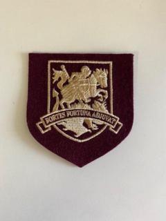 St George's Blazer Badge
