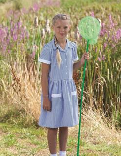 d'Auvergne Striped Summer Dress